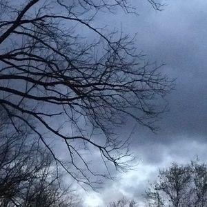 Meet your Posher, Trish